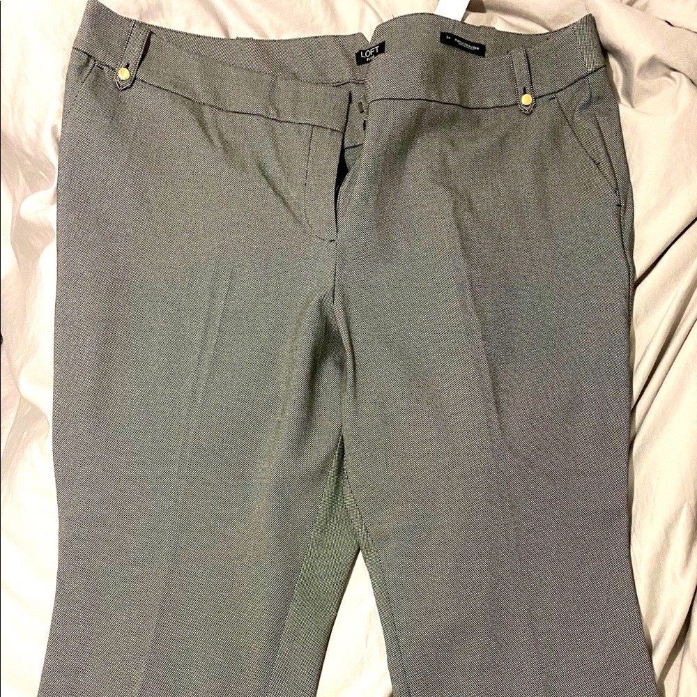 Loft 24W Womens Pant